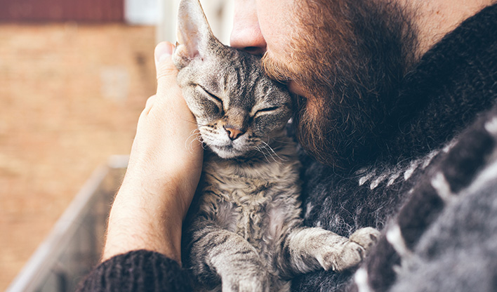 cat enjoying a cuddle