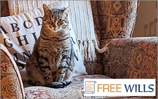 Free Wills for Cat Chat Supporters