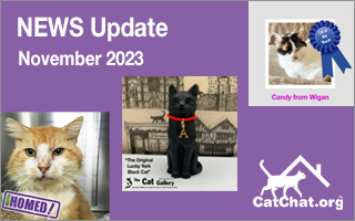2023 November news