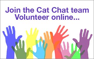 online volunteering for cat chat