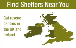 Cat Rescue Centres UK & Ireland