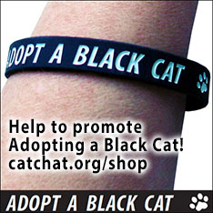 adopt a black cat wristband