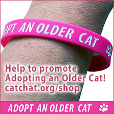 adopt an older cat wristband