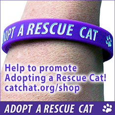 adopt a rescue cat wristband
