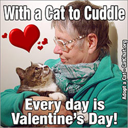 With a cat to cuddle every day is Valentine's day