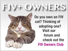 Exchange information and chat to other FIV cat owners