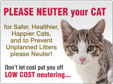 where can i get my male cat neutered for free