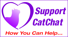 Many ways to support Cat Chat charity
