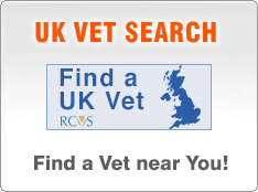 find any UK vets practice