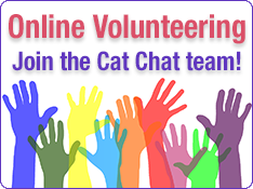 Current Volunteer Vacancies at Cat Chat