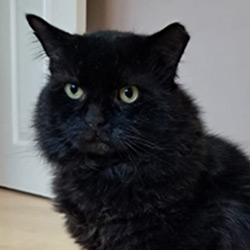 Bruce - Slough