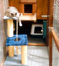 cattery pen - pet boarding