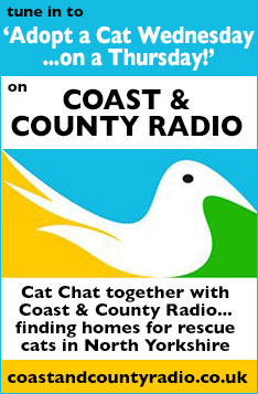 Coast and County Radio, Adopt a Cat Wedenesdays