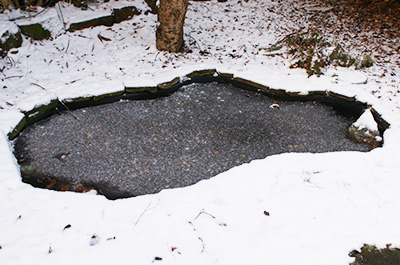 cold weather frozen pond danger