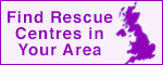 Find local cat rescue centre details