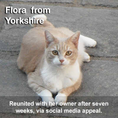 Flora found via social network