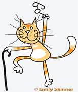 Older cats rock - adopt a senior cat