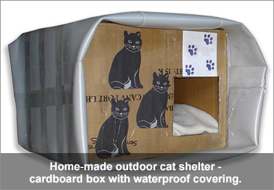 Home-made temporary outdoor cat shelter