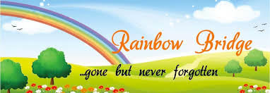 Rainbow Bridge, gone but never forgotten