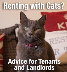 Renting with cats - information for tenants and landlords