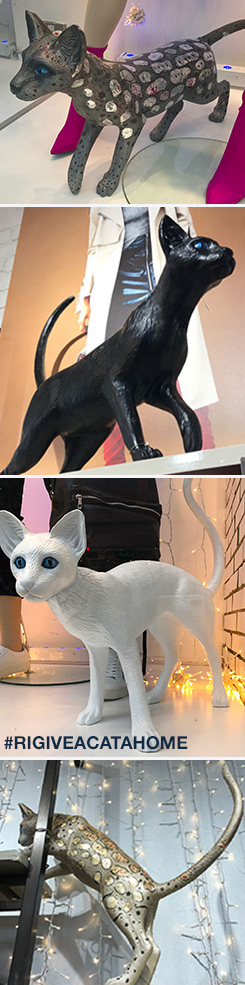River Island Cat Mannequins for the Give a Cat a Home Campaign