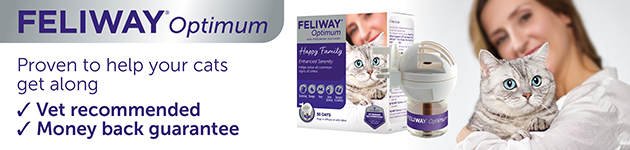 Feliway reduces conflict between cats