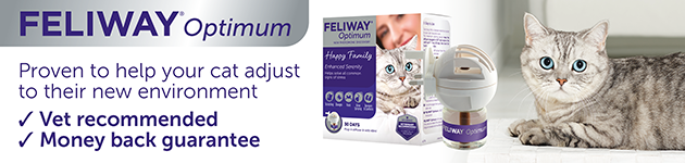 Feliway helps prevent conflict and tension between cats