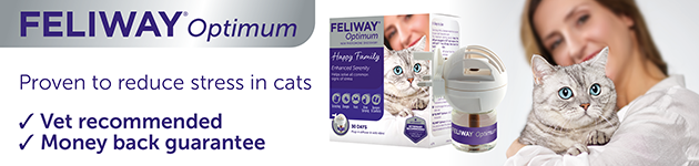 Cat Chat sponsors feliway - reduces feline stress