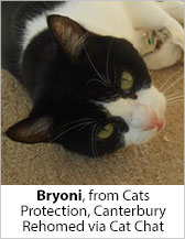 Bryoni from CP - Canterbury - Homed