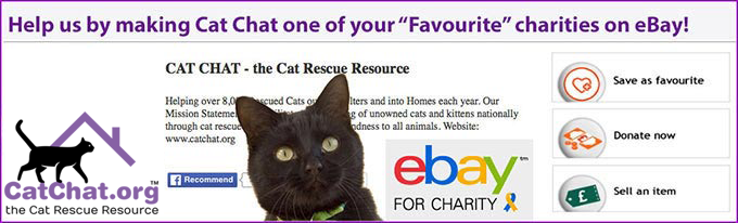 ebay favourite charity