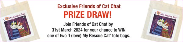 prize draw to win an I love My Rescue Cat design shopping bag