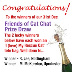 friends of cat chat draw winners