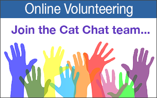 Virtual Volunteering online at Home