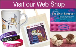 Buy from the Cat Chat Web Shop