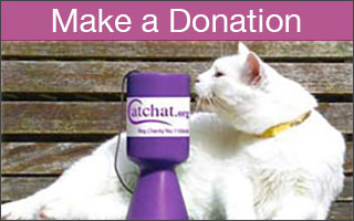 Donate to Cat Chat Charity