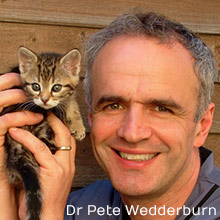 Dr Pete Wedderburn - Campaign supporter