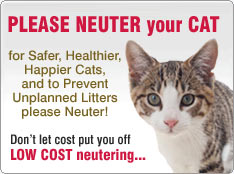 please neuter your cat