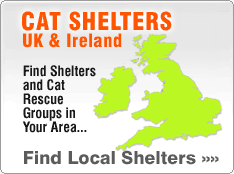 Find a UK Cat Rescue Centre