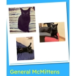 General McMittens