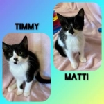 Timmy & Matti