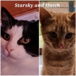 Starsky and Hutch 