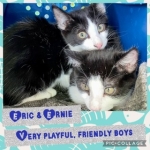Eric and Ernie 