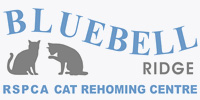 RSPCA - Bluebell Ridge Cat Rehoming Centre