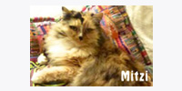 Mitzi`s Kitty Corner