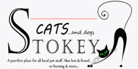 Stokey Cats... and dogs