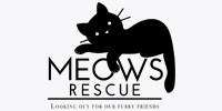 Meows Kitten and Cat Rescue
