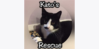 Kato`s Rescue