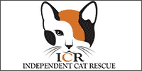 ICR (Independent Cat Rescue)