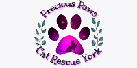 Precious Paws Cat Rescue York