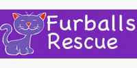 Furballs Rescue